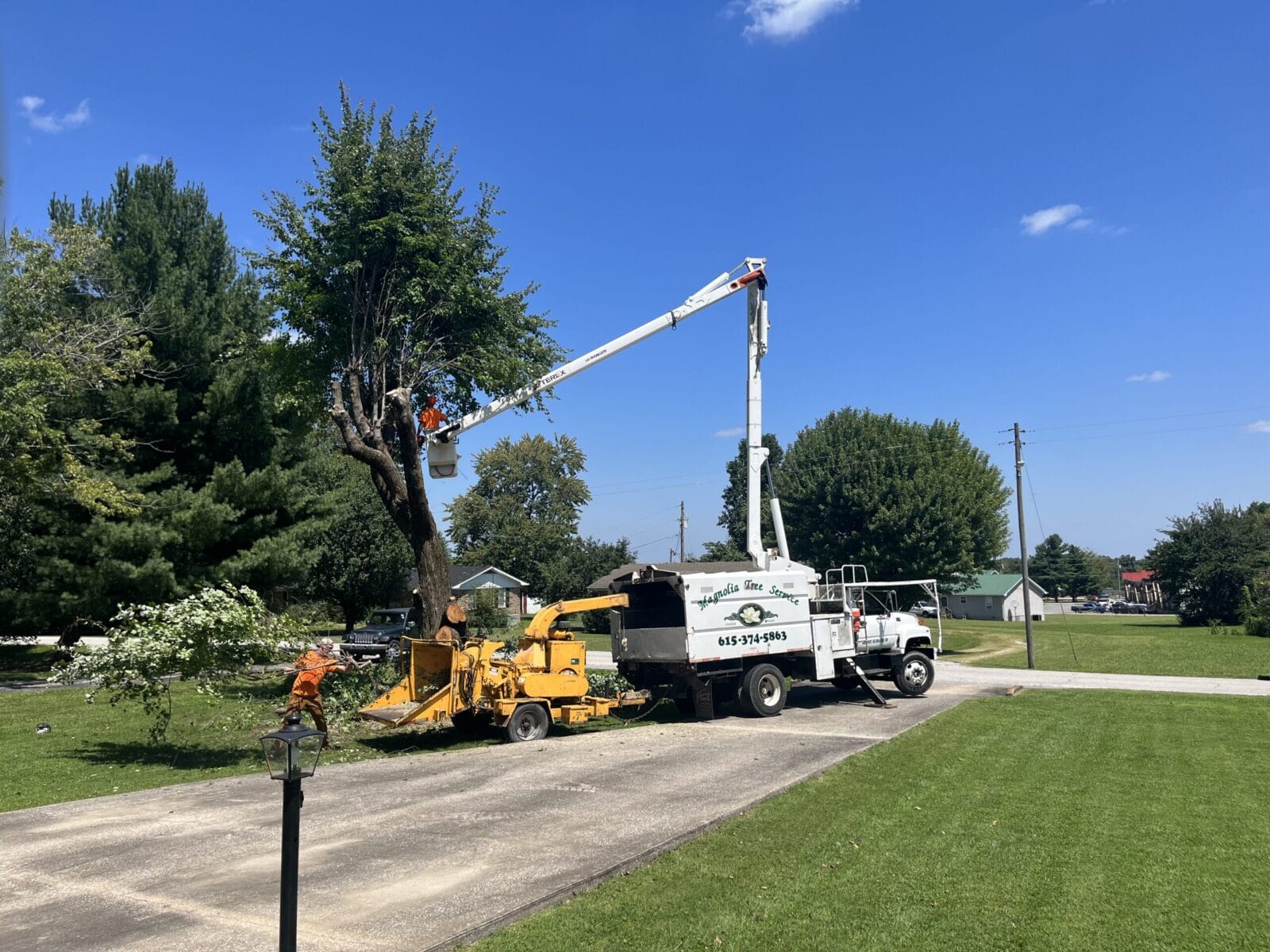 Tree Trimming in Lafayette TN